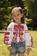 Вишиванка для дівчинки Trend Диво 134 Білий (SOLDDYVOBI) - изображение 2