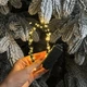 Светодиодная гирлянда Роса с блоком 10 м 100 LED Теплый белый свет Зеленый провод - изображение 2