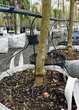 Стартер для капельной трубки 5 мм - изображение 2