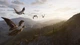 Ключ активации Way of the Hunter 2 - Deluxe Edition для Xbox Series S/X - изображение 8