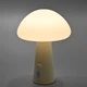 LED лампа настольная с аккумулятором VIDEX VL-TF25BG 4W 3000-6500K+RGB Beige - изображение 6