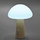 LED лампа настольная с аккумулятором VIDEX VL-TF25BG 4W 3000-6500K+RGB Beige - изображение 9