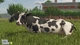 Игра Sony PlayStation 5 Farming Simulator 25 Украинские Субтитры Б/У - изображение 6