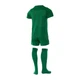 Футбольная форма детская Nike Lk Nk Dry Park20 Kit Set K M CD2244-302 - изображение 2