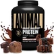 Купити Universal Nutrition Animal Whey 1.814 кг Шоколад (4384300863) - зображення 1