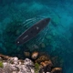 Надувна SUP дошка Aquaget 350 см з веслом AQ0040 Black - зображення 3