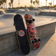 Скейтборд дерев'яний графіті BavarSport Skateboard Graffiti 4411-12 розмір 78х20см - зображення 7