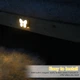 Настенный LED-ночник «Бабочка» с датчиком движения SEONTV - изображение 3