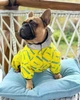 Комбінезон для собак WAUDOG Clothes, малюнок "Сміливість", софтшелл, розмір XS30, В 40-43 см, С 27-30 см - изображение 6