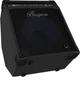Басовый комбоусилитель Bugera BXD15 - изображение 3