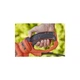 Кущоріз Black&Decker BEHTS551 - изображение 4
