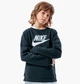 Подростковый свитшот Nike Sportswear Club 104-110 СM Черный CV9297-011 - изображение 1