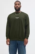 Світшот "JJ Studios" Jack&Jones зелений 4XL (sw-jj-002-green-2277) - изображение 5