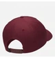 Кепка Nike Jordan Clc99 Flt Ess Cap ONE SIZE DV3148-680 - изображение 2