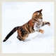 Календар настінний Helma 2027 Cats, 30x30 см (LP01-27) - зображення 10