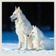 Календарь настенный Helma 2027 Dogs, 30x30 см (LP02-27) - изображение 6