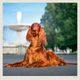Календарь настенный Helma 2027 Dogs, 30x30 см (LP02-27) - изображение 11