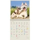 Календарь настенный Helma 2027 Dogs, 30x30 см (LP02-27) - изображение 13