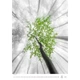 Календарь настенный Helma 2027 Colour Art, 31,5x45 см (N148-27) - изображение 3