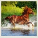 Календарь настенный Helma 2027 Horses, 30x30 см (LP03-27) - изображение 8