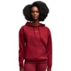 Худі ESS SCRIPT Comfort Hoodie FL Puma 694136-23 40 Червоний (4070033357026) - изображение 1