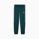 Брюки чоловічі PUMA Essentials Tape Sweatpants Men 68467975 l, зелений - изображение 1
