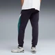 Брюки чоловічі PUMA Essentials Block Sweatpants Men 69170016 l, чорний/зелений - изображение 2