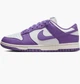 Кроссовки женские Nike Dunk Low Next Nature 39 Фиолетовый DD1873-108 - изображение 1