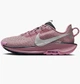 Кроссовки женские Nike Pegasus Trail 5 Plum Dust W 42 Розовый DV3865-500 - изображение 1