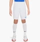 Шорти дитячі Nike Park Iii 164 CM Білий BV6865-104 - зображення 1