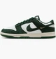 Кроссовки женские Nike Dunk Low White/Green 40.5 IB4417-100 - изображение 1