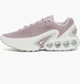 Кроссовки женские Nike Air Max Dn 39 Розовый FJ3145-004 - изображение 1