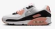 Кросівки жіночі Nike Air Max 90 39 Комбінований DH8010-109 - зображення 1