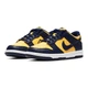 Кросівки жіночі Nike Dunk Low Gs 37.5 Комбінований CW1590-700 - зображення 3