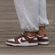 Кросівки Nike SB Dunk Low Sail Red Sepia Metallic Gold 39 - изображение 1