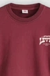 Світшот Levi's 52(XL) Бордовий (156423) - зображення 2