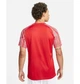 Футболка мужская Nike Dri-Fit Academy L Красный DH8031-657 - изображение 4