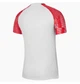 Футболка мужская Nike Dri-Fit Academy S Белый DH8031-100 - изображение 2