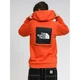 Худі чоловіче The North Face Box Nse Po Hdie Retroorg L Помаранчевий NF0A7UNSZV1 - зображення 2