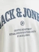 Футболка чоловіча JACK & JONES 12291213 XL cloud dancer - зображення 5