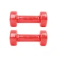 Гантелі вінілові inSPORTline Smoothbell 2 x 1,5 кг - зображення 3