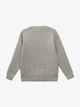 Светр з принтом для хлопчика GENUA G01417-0002 116 см Сірий shop (2000999708428) - зображення 4