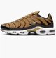 Кроссовки мужские Nike Air Max Plus 41 Коричневый DM0032-700 - изображение 1