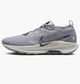 Кросівки чоловічі Nike Pegasus Trail 5 Gtx 38.5 Сірий FQ0908-006 - зображення 1