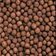 Корм Hikari Cichlid Bio-Gold+ Medium 250 g для хищных цихлид - изображение 2