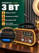 Аккумуляторный радиоприемник с Bluetooth, USB, microSD, FM/AM/SW, MP3, 3 Вт, на батарейках и от сети 220 В - изображение 5
