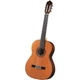 Классическая гитара Antonio Sanchez 1030 Cedar (110337) - изображение 1