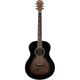 Акустична гітара Washburn Bts9Ch-D-U (531843) - зображення 1