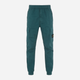 Брюки мужские Stone Island Pantalone Regular Taperedv Green 33 Зелений 101531303-V0053 - изображение 1