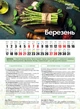 Посівний Календар 2027 із серії Світовид - зображення 5